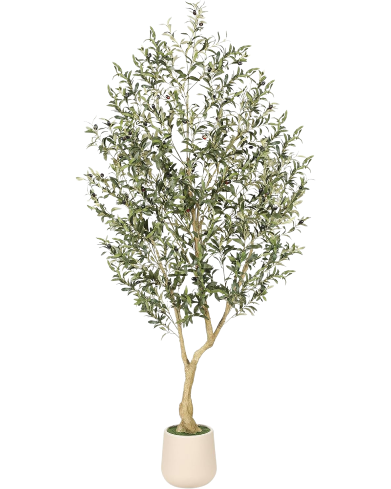 Premium Faux Olive Tree