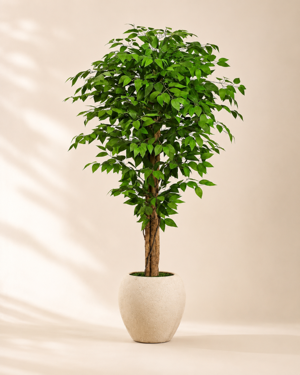 Premium Faux Ficus Tree 5–8 FT