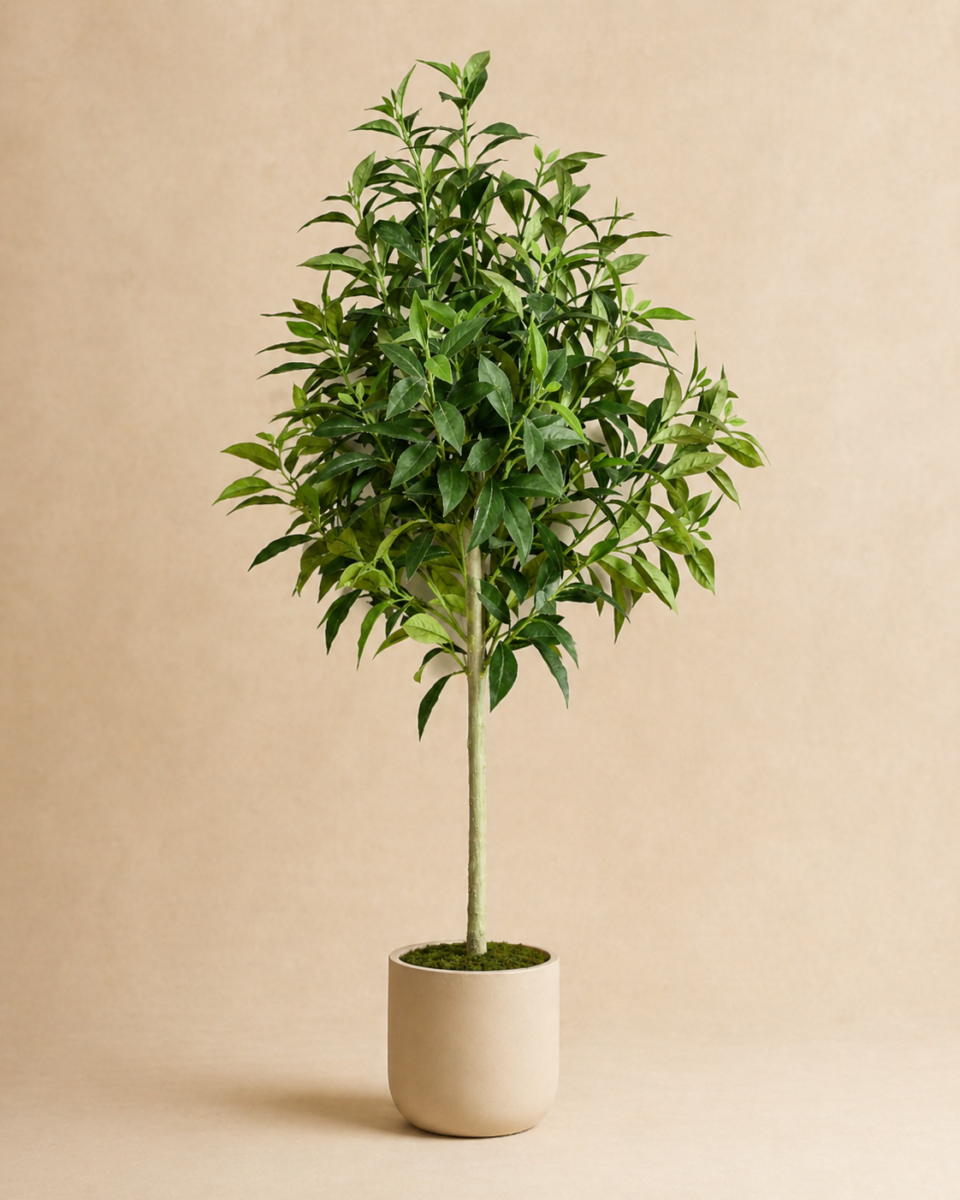 Premium Faux Laurel Tree 5–8 FT