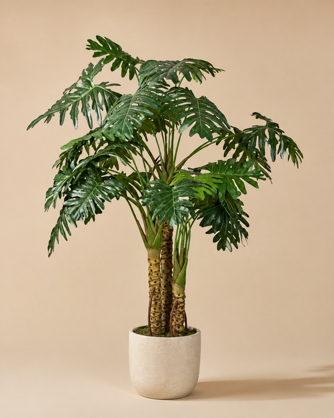 Premium faux philodendron selloum tree in a white planter on warm neutral background
