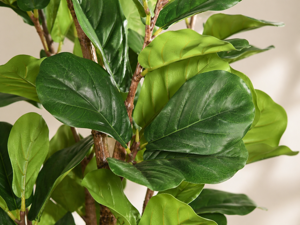 Realistic faux fiddle leaf fig leaves with natural texture and green color