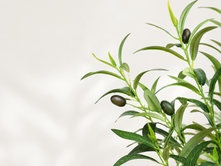 Close-up detail of faux olive leaves and branches used for Verdant Nest product design